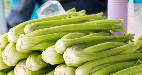 芹菜冷冻保存的正确方法（让美味的芹菜常年有余）