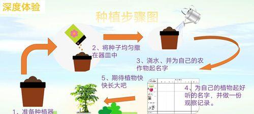 长春花种子发芽时间与方法（从选择种子到种植护理全方位解析）