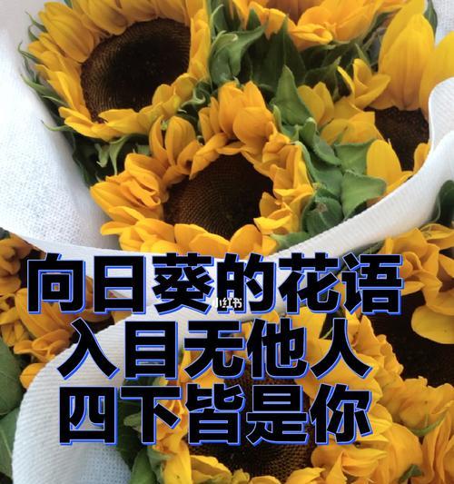 向日葵的花语和传说（阳光之花的美丽与神秘）