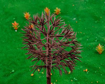 探秘绿色树干的奥秘——植物色素的作用（探秘绿色树干的奥秘——植物色素的作用）