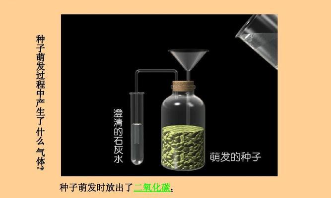 二氧化碳对植物的作用——从增长到应对气候变化