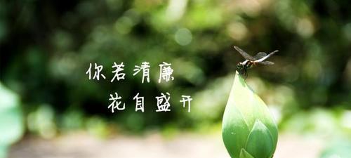 以代表廉洁的植物为主题的文章（草木皆知）